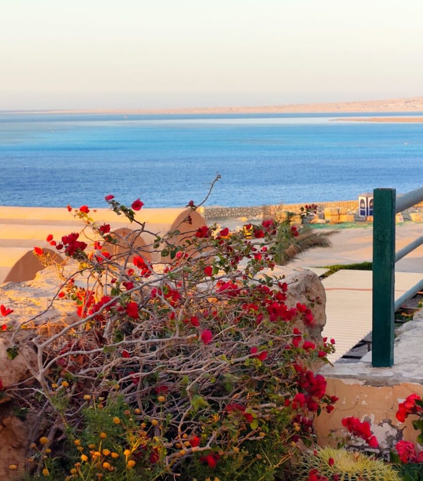 two bedroom-the view-redsea home developer