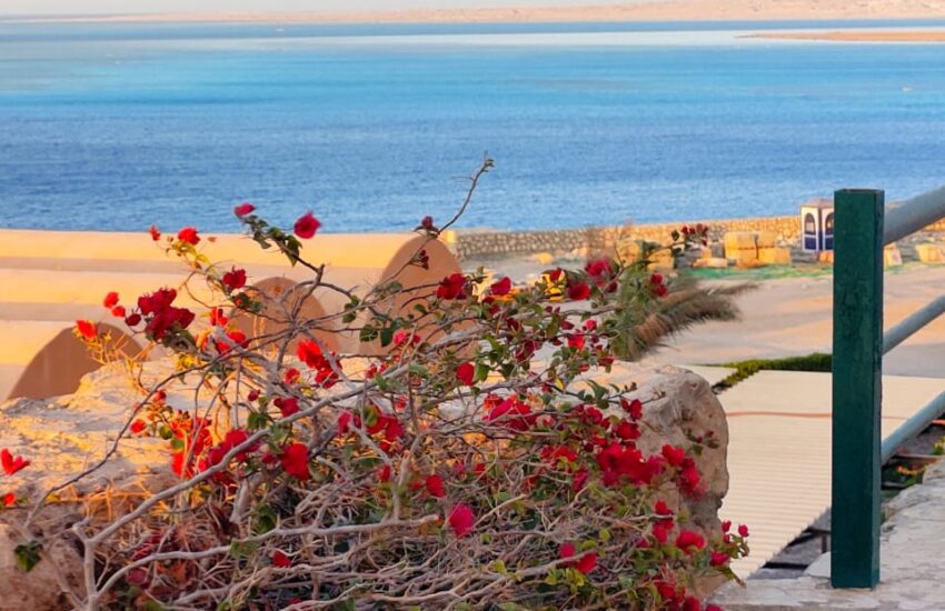 two bedroom-the view-redsea home developer